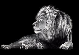 Image result for Black and White Lion Painting