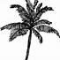 Image result for 3 Palm Tree Silhouette