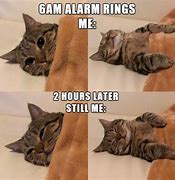 Image result for Life-Size Cat People Meme