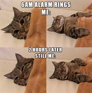 Image result for Time Cat Meme