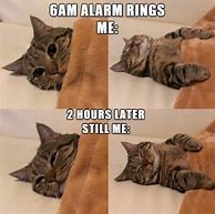 Image result for Calling It a Day Meme Cat