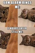 Image result for Payday Cat Meme