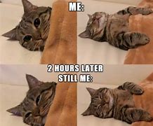 Image result for Actually Funny Cat Memes