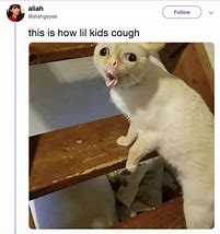 Image result for Coughing Cat Meme No Watermark
