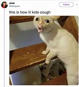 Image result for Cat Little Kids Couch Meme