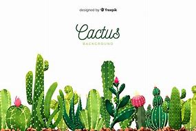 Image result for Cactus Watercolor Backdrop