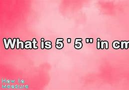 Image result for 5'8 in Cm