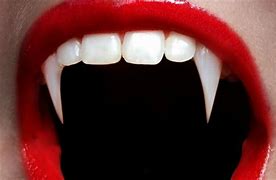 Image result for Sharp Teeth Pictures