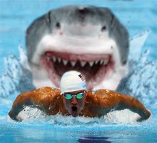 Image result for Funny Shark in the World