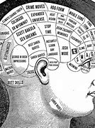 Image result for What If We Use 100 of Our Brain Meme