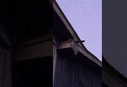 Image result for One Way Bat Door for Chimney