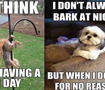 Image result for Funny Bad Day Sayings