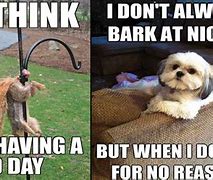 Image result for Make a Bad Day Funny