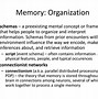 Image result for Where Are Memories in the Brain