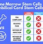 Image result for Placenta Stem Cells Pros and Cons