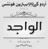Image result for Nasir Logo in Urdu