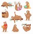 Image result for Sloth Pictures Cartoon Face