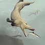 Image result for Whale with Headhones