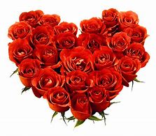 Image result for Cute Roses Wallpapers for Phone