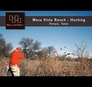 Image result for Mesa Vista Hunting