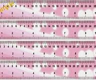 Image result for 13 Inches Ruler