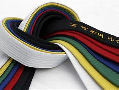 Image result for Judo Belts