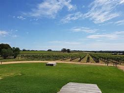 Image result for Kangarilla Road Montepulciano Brierly