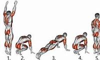 Image result for Burpee Muscle Groups