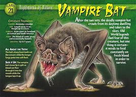 Image result for Cartoon Vampire Bat