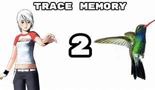 Image result for Tracing Memory