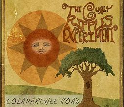 Image result for Illustrated Album Covers