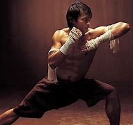 Image result for Best Martial Artist