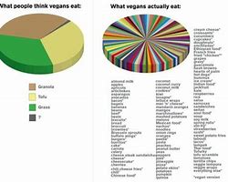 Image result for Vegetarianism Reasons