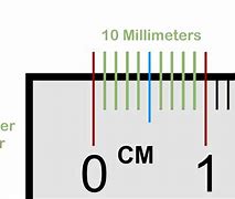 Image result for 1 Cm Ruler