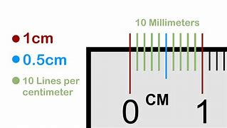 Image result for How Does a Centimeter Look Like