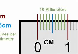 Image result for What Does 7 Cm Look Like