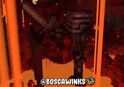 Image result for Wither Skeleton Human