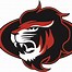 Image result for Lions High School Logo