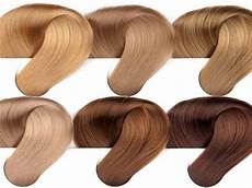 Golden Hair Color Dye Dark Light Medium Chart