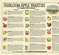 Image result for Apple Fruit Tree Identification