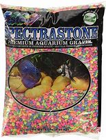 Image result for Rainbow Fish Gravel
