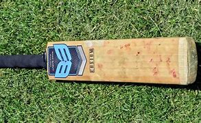 Image result for Cricket Bat Grip Pics
