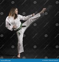 Image result for Woman High Kick Martial Arts