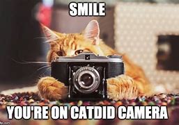Image result for Cat Smiling at Camera Meme