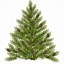 Image result for Pine Tree No Background