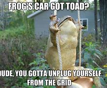 Image result for Frog Toad Meme