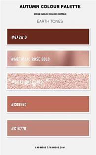 Image result for What Color Rose Gold