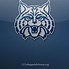 Image result for Arizona Wildcats Football Logo