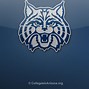 Image result for University of Arizona Basketball Logo