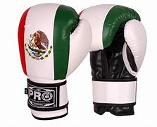 Image result for Boxing Items